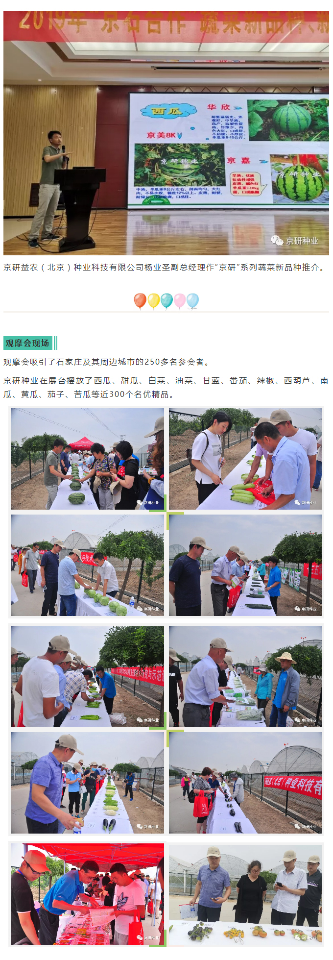 京研种业_02.jpg