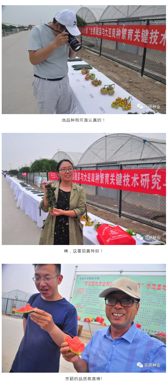 京研种业_04.jpg
