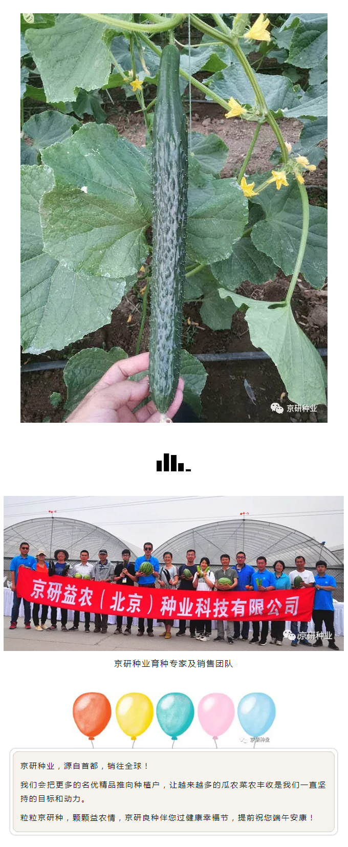 京研种业_08.jpg