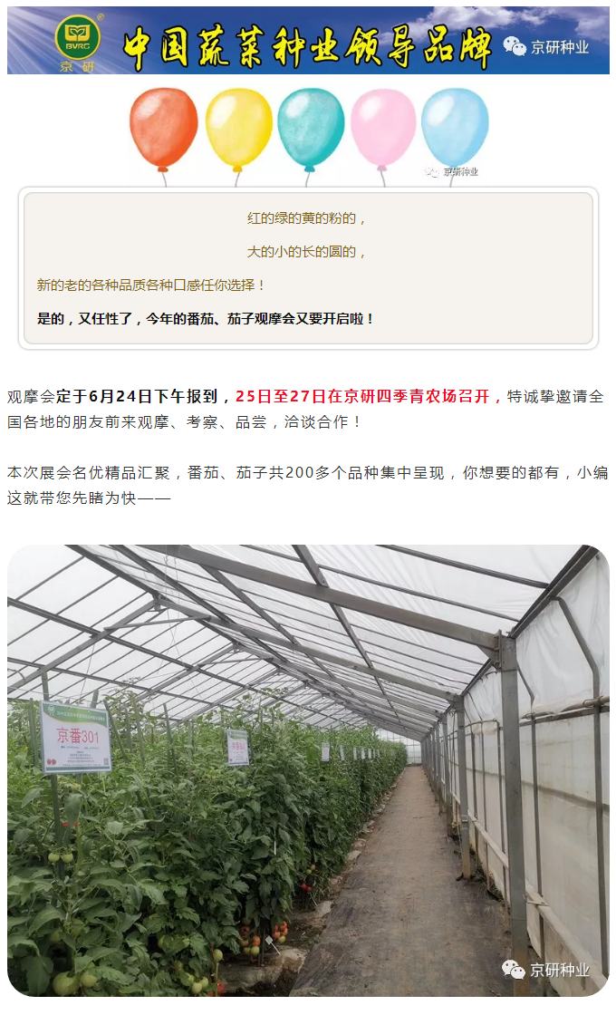 京研种业_01.png
