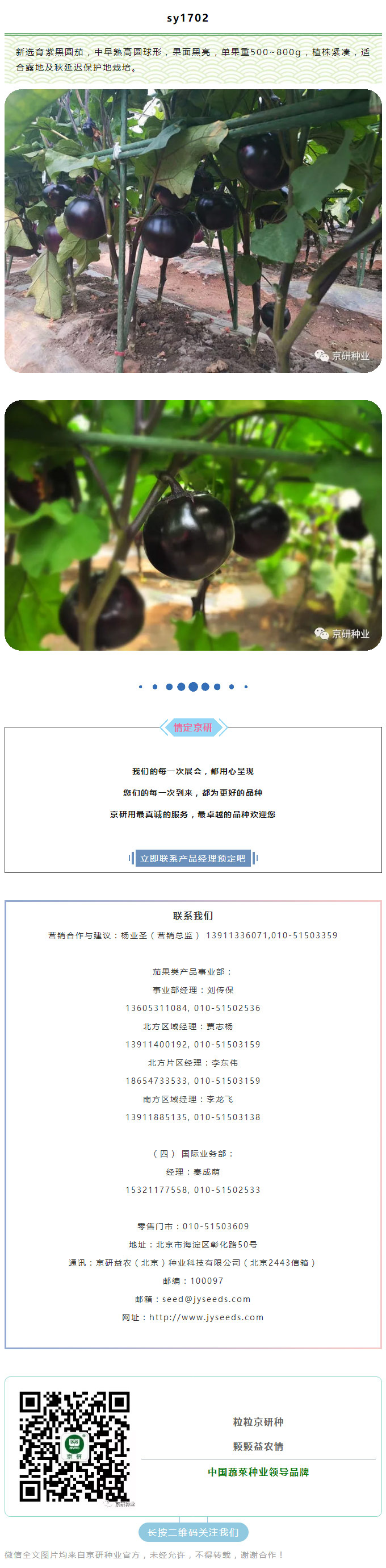 京研种业_12.jpg