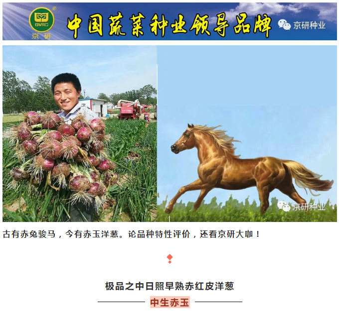 京研种业_01.jpg