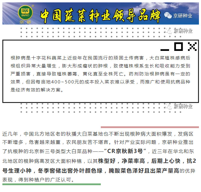 京研种业_01.jpg
