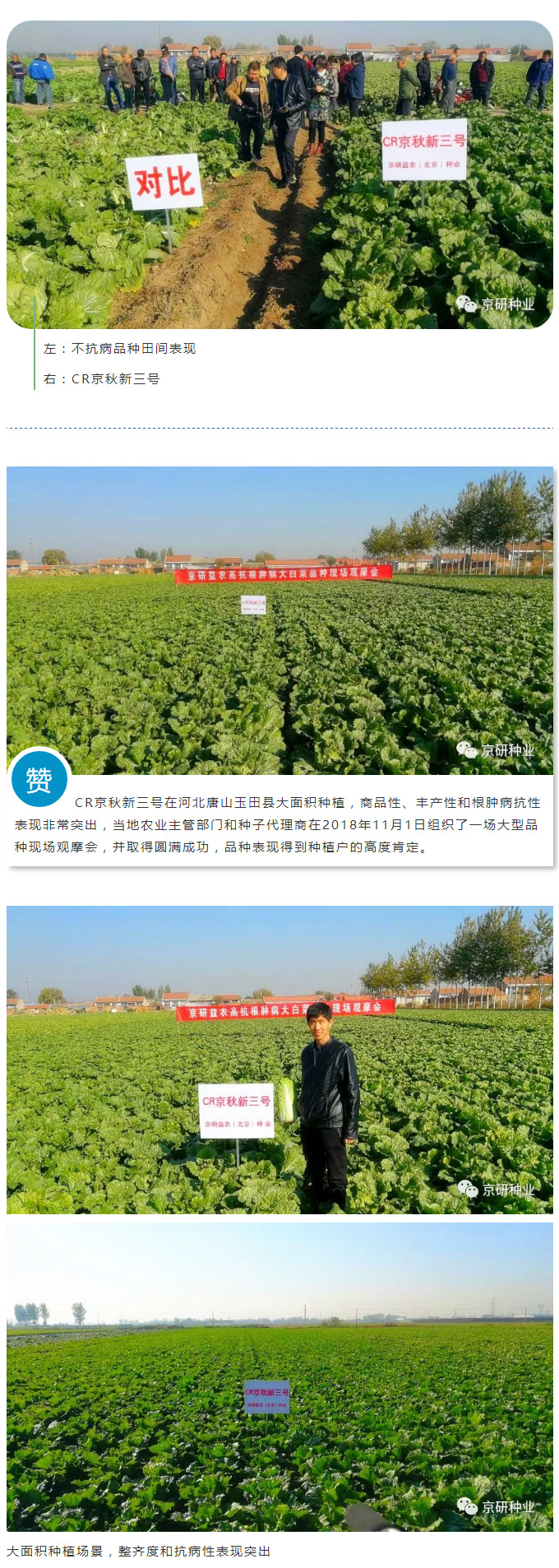 京研种业_06.jpg
