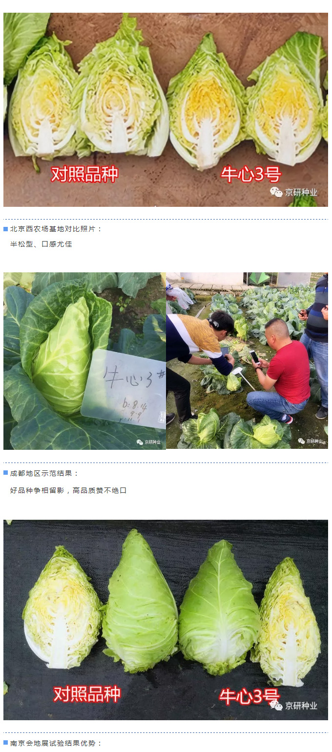京研种业_05.jpg