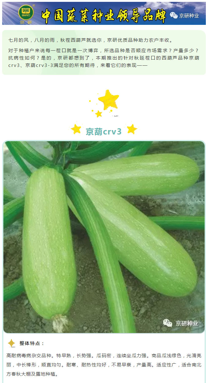 京研种业_01.jpg