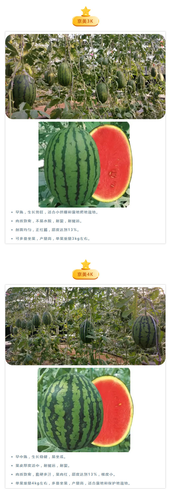 美好生活，“京美”开启！——首秀篇_11.jpg