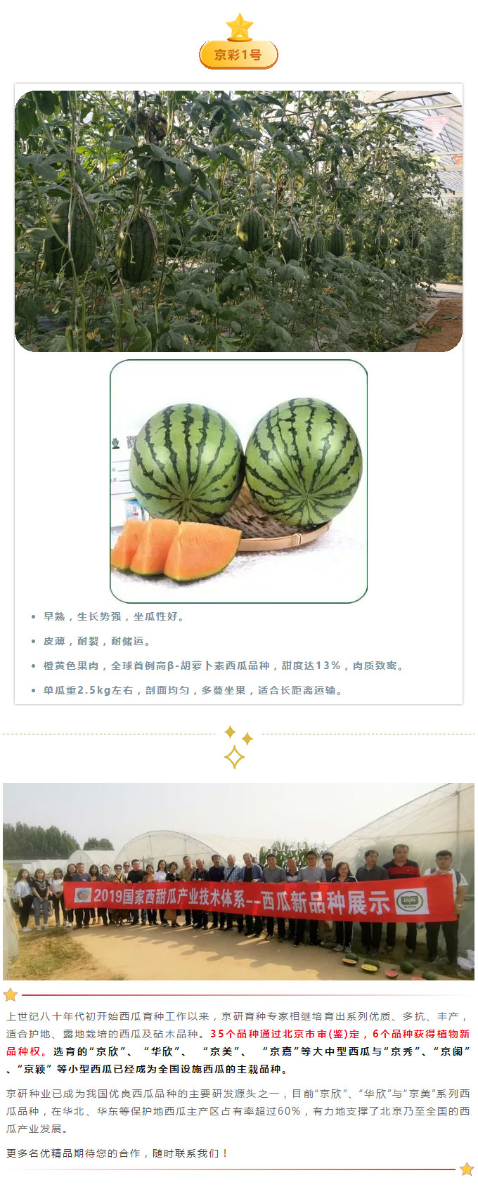 美好生活，“京美”开启！——首秀篇_13.jpg