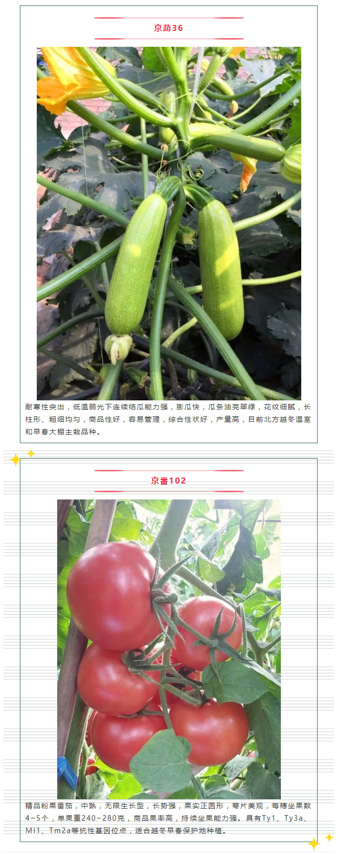 金秋十月，京研献礼，我们还约河北廊坊！_05.jpg