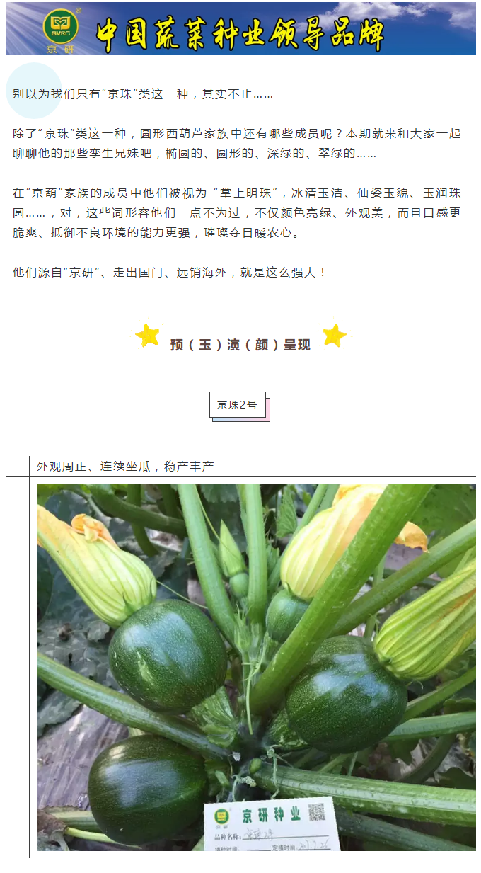 京研“掌上明珠”，百口百称誉！_01.png