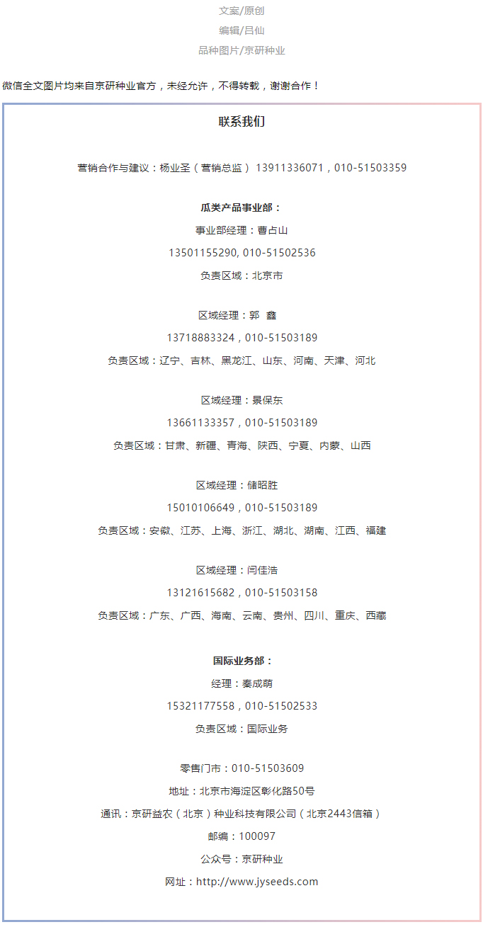 满地尽是黄金“甲”——“籽丰”西葫芦篇_04.jpg