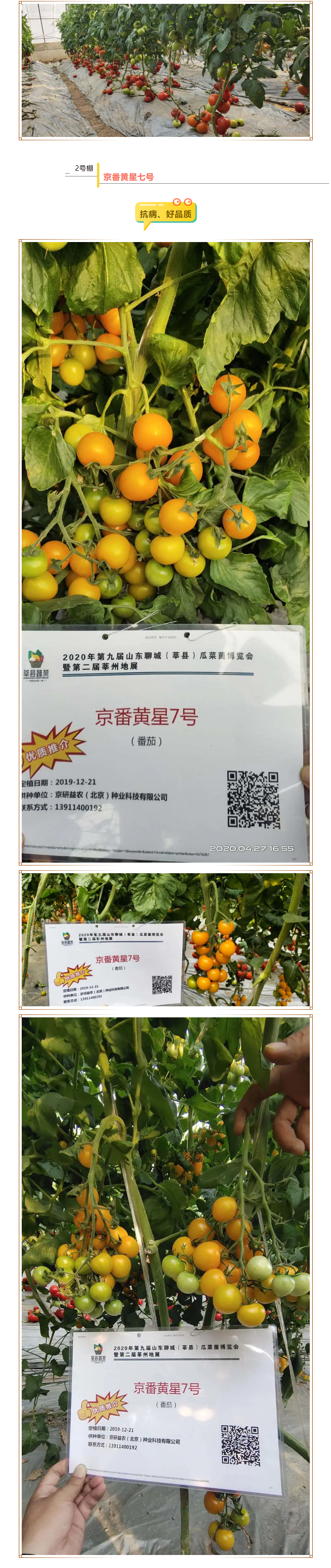 瞧！京研这些品种又获推荐了！_03.png