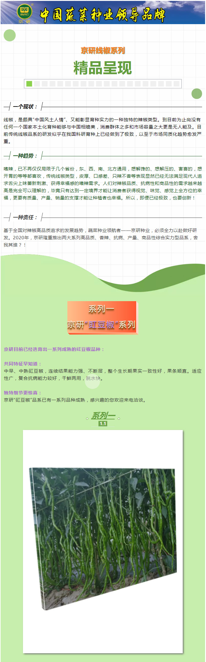 京研“椒”、火辣“情”，“舌尖”幸福线椒成！_01.jpg