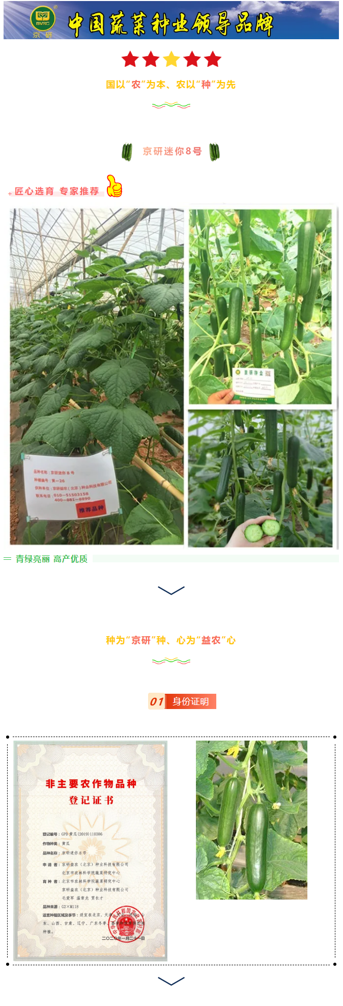 黄瓜中的“卡哇伊”：京研“mini”系列-—迷你8号_01.png