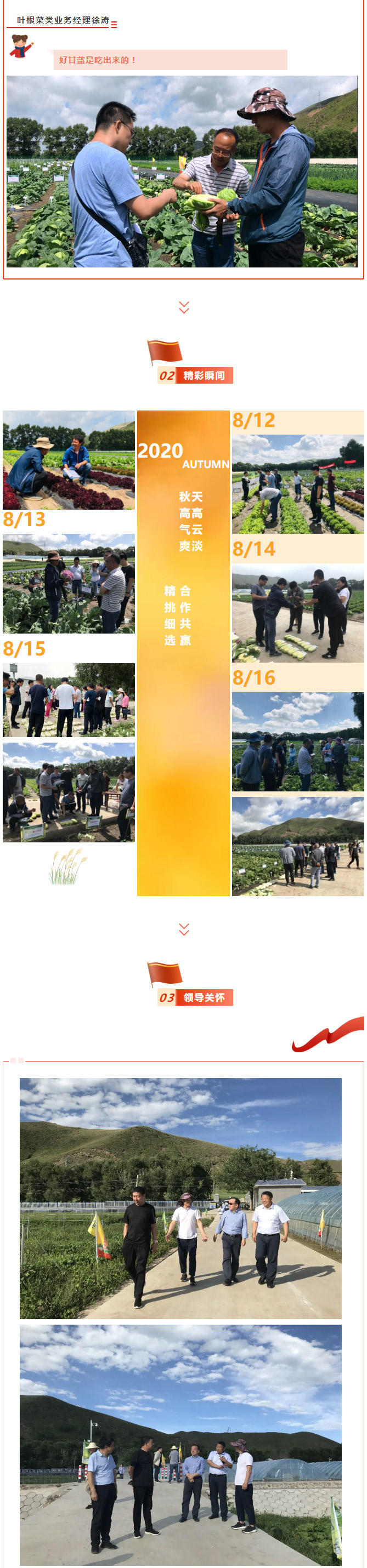 秋风送爽聚坝上，京研叶菜齐分享！_03.jpg