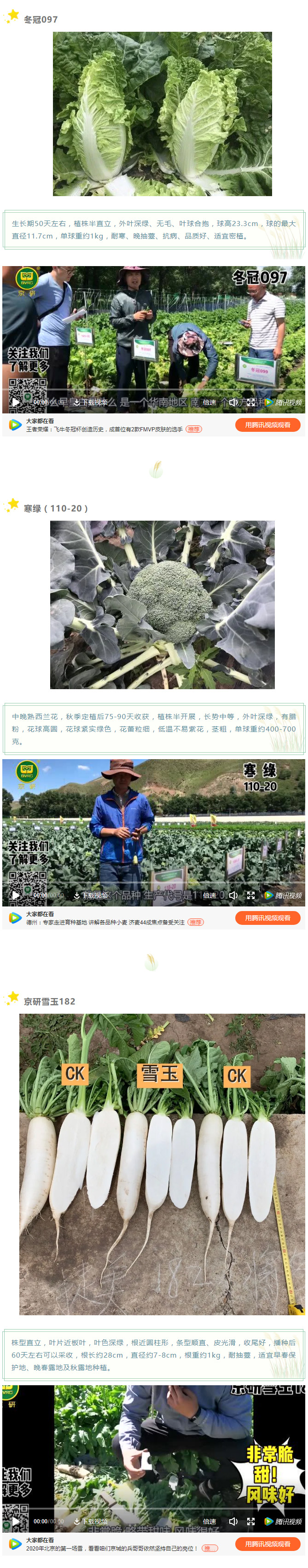 秋风送爽聚坝上，京研叶菜齐分享！_05.jpg