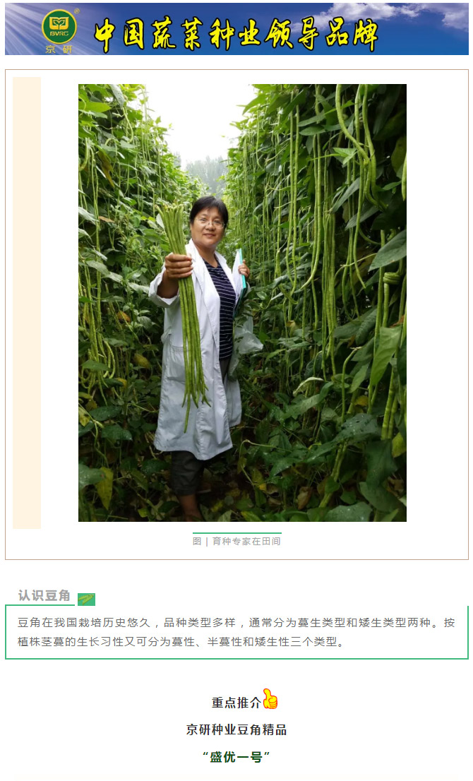 金丸玉馔盛繁华，此物颇丰熟——盛优一号_01.jpg