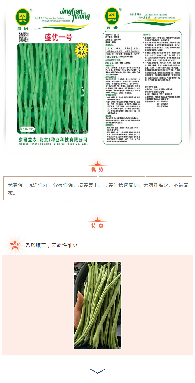 金丸玉馔盛繁华，此物颇丰熟——盛优一号_03.jpg