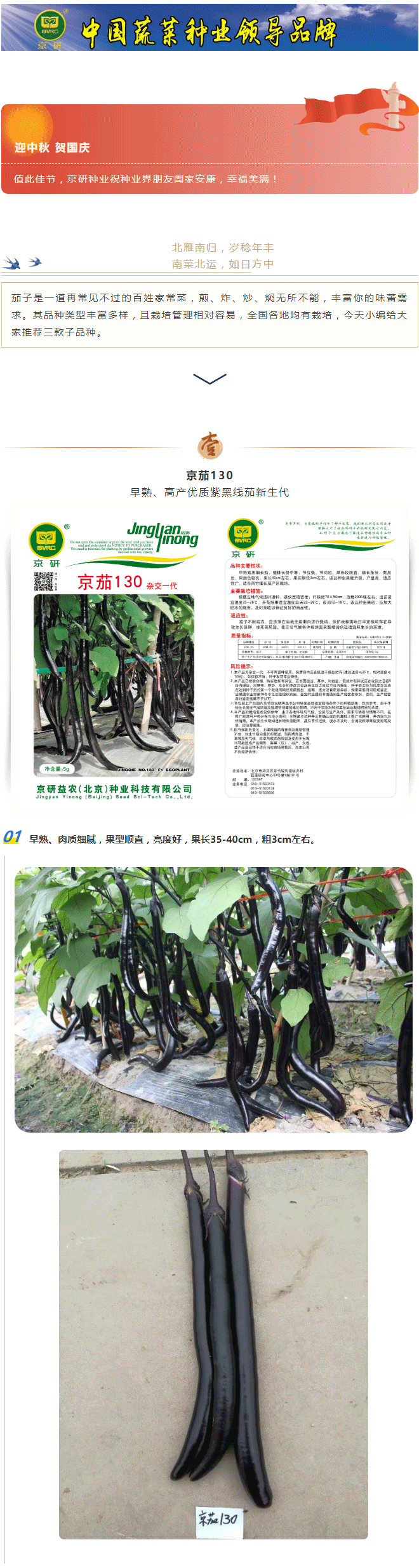 双节合璧，京茄献礼！_01.gif