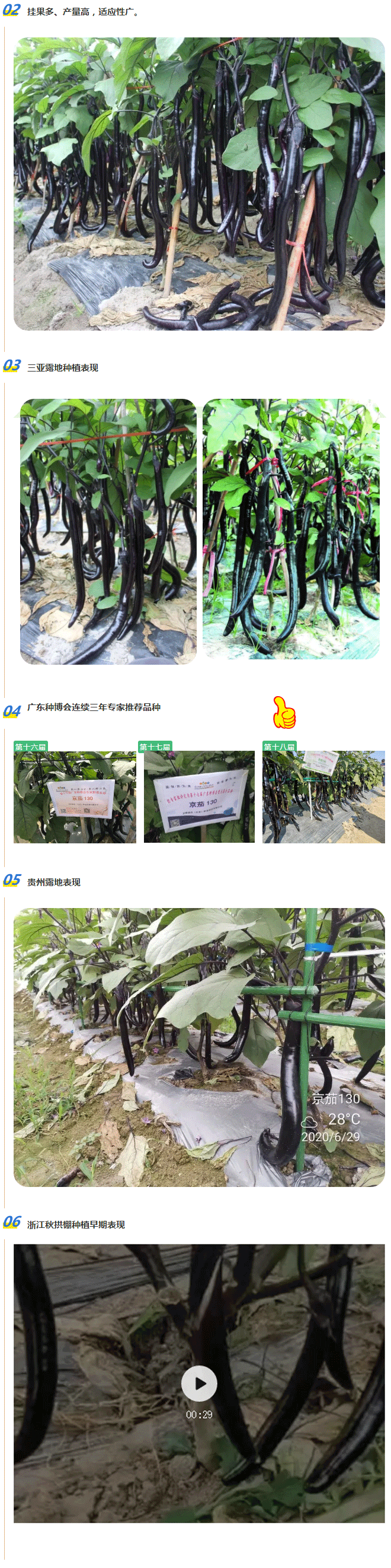 双节合璧，京茄献礼！_02.gif