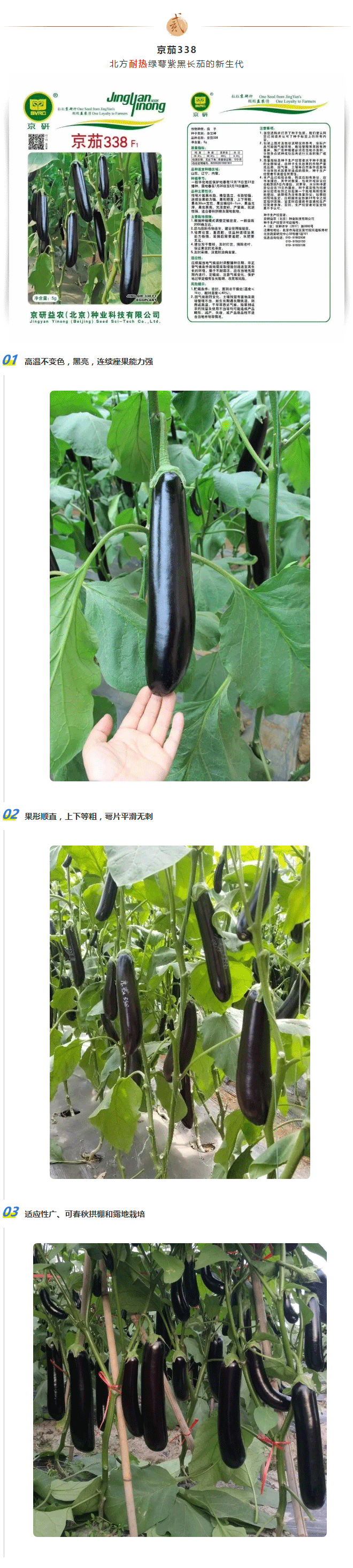双节合璧，京茄献礼！_03.gif