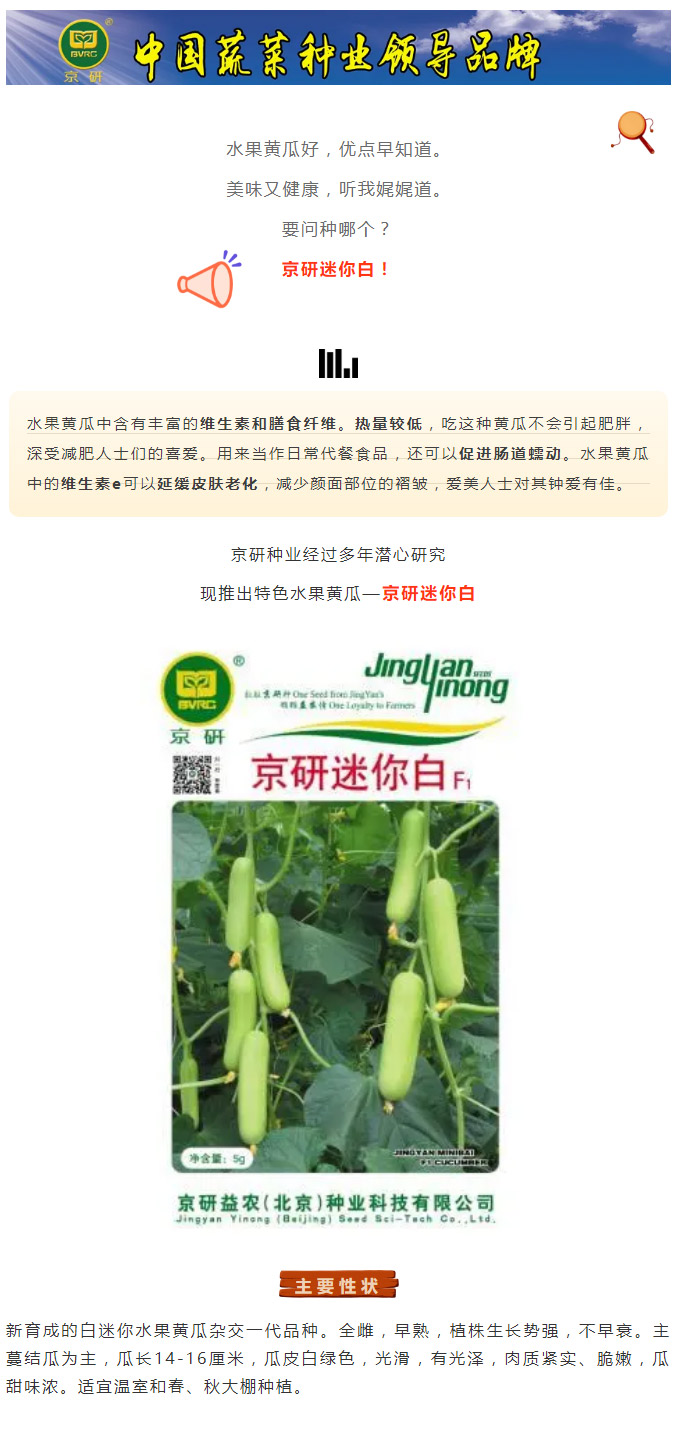 是什么备受减肥人士和爱美达人的青睐？原来是它——京研迷你白！_01.jpg