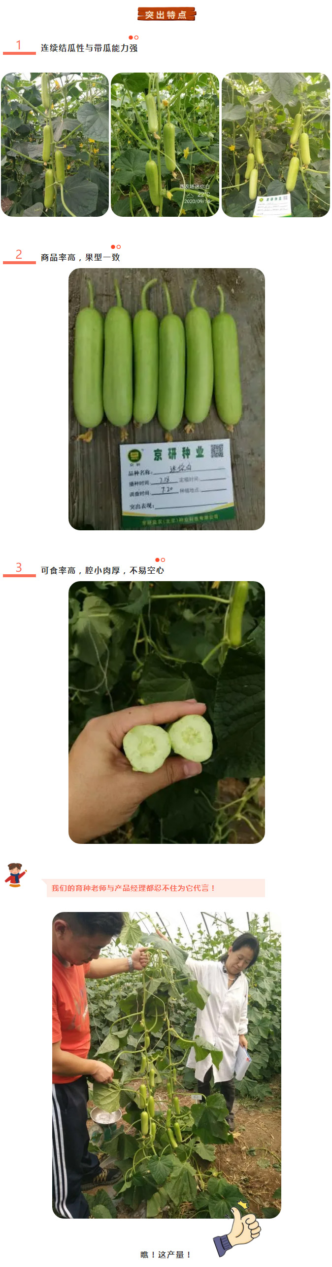 是什么备受减肥人士和爱美达人的青睐？原来是它——京研迷你白！_02.jpg