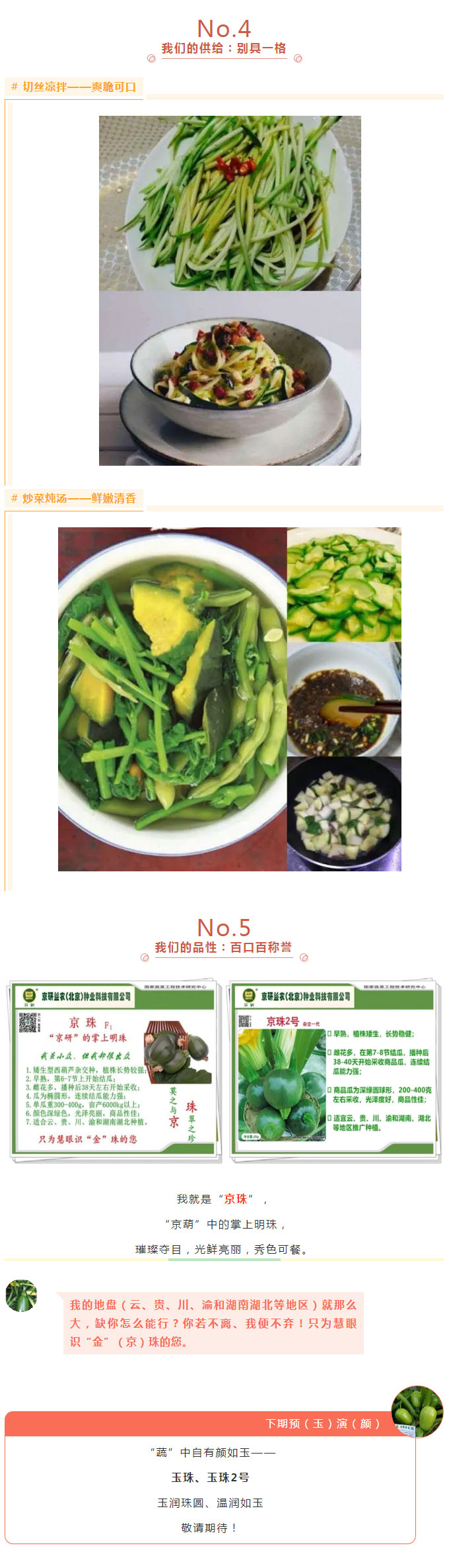 京研牌深绿（椭）圆西葫芦，谁与争锋？_06.jpg