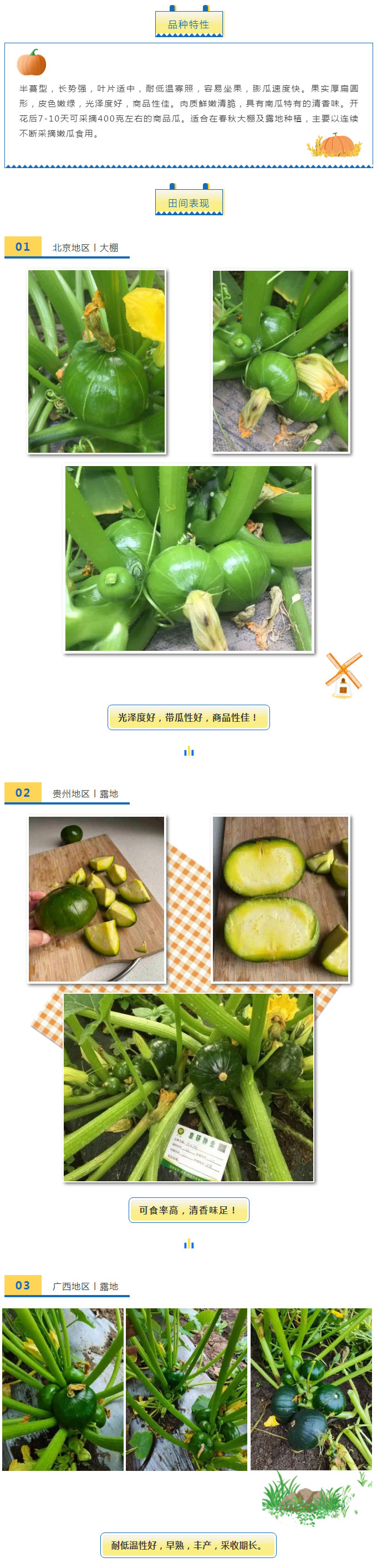 小身材蕴藏大能量——迷你多栗_03.jpg