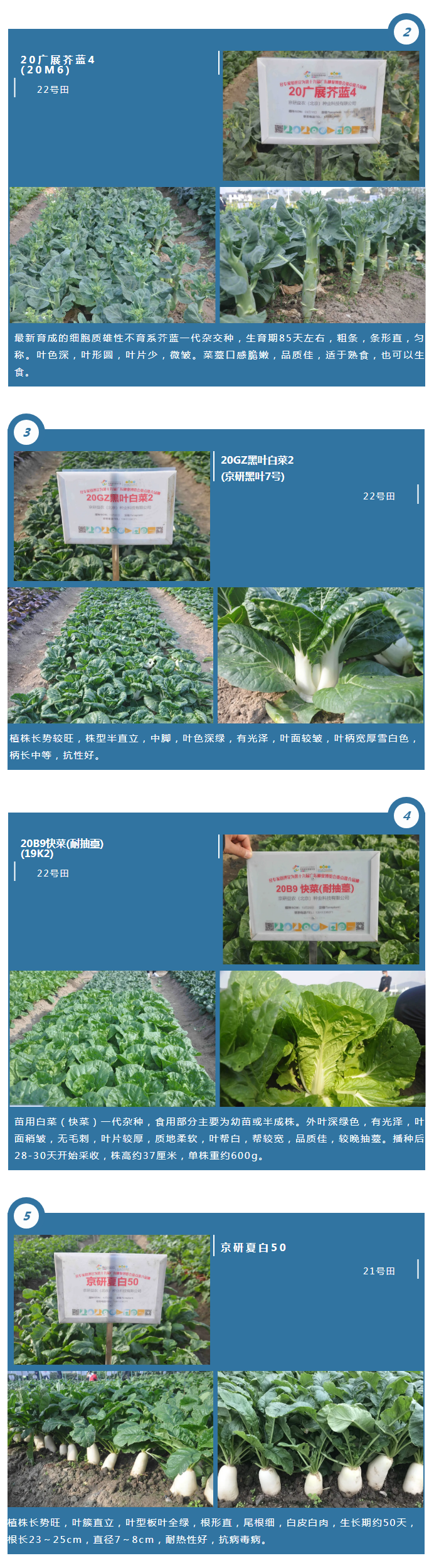 【聚焦广博会】京研家族140个品种的出色表现！我们还在田间驻守等您来品鉴！_03.png