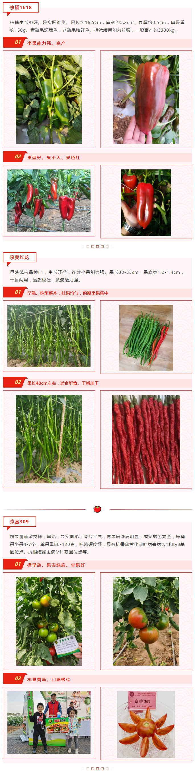 京研牛年献贺礼，茄果精品大放送！_02.jpg