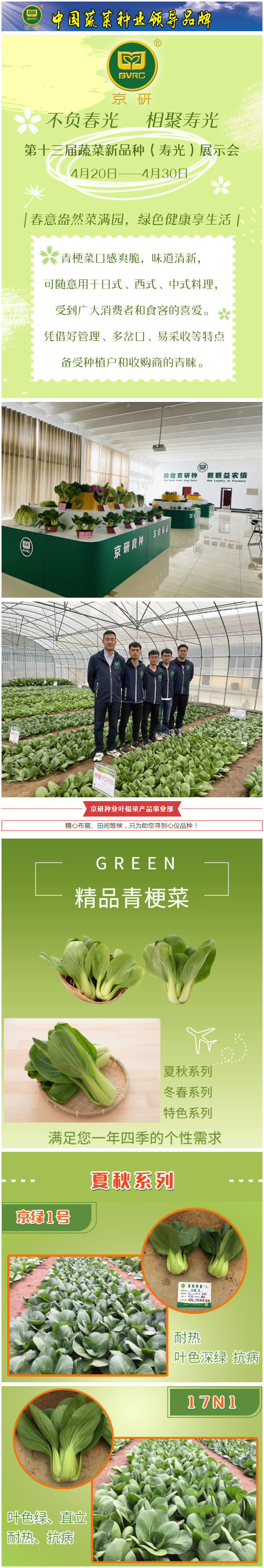 春意盎然菜满园，绿色健康享生活—青梗菜篇_01.jpg