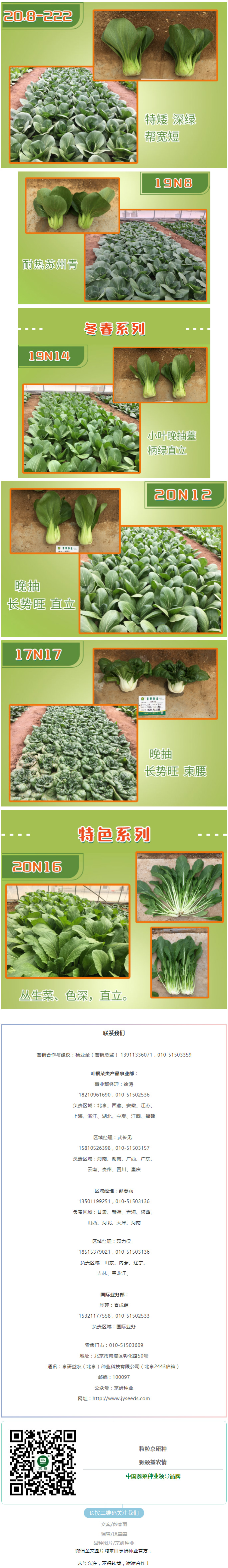 春意盎然菜满园，绿色健康享生活—青梗菜篇_02.jpg