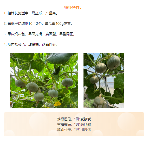 微信截图_20220708092107.png