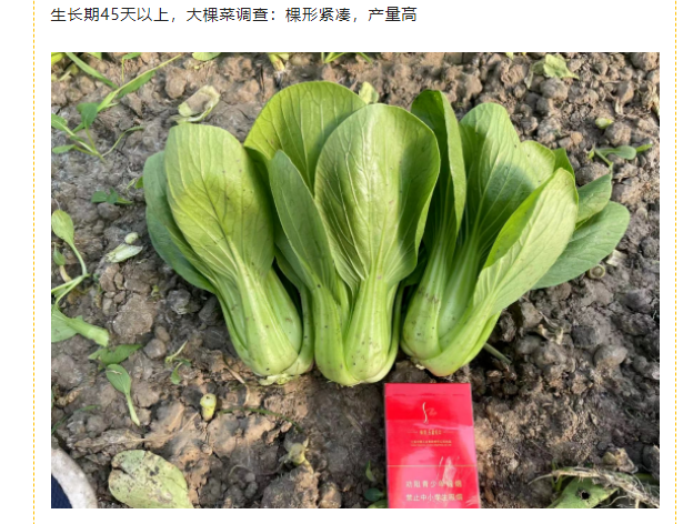 微信截图_20220708091510.png