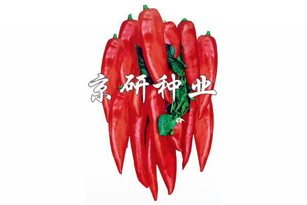 红妃
