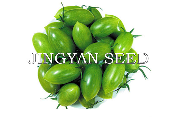 JingDan LvBaoShi No.2