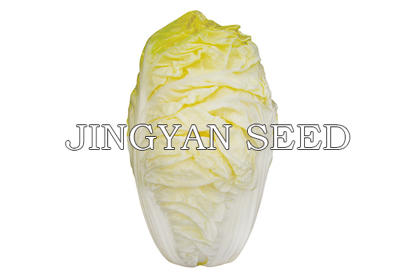 Beijing Summer No.56