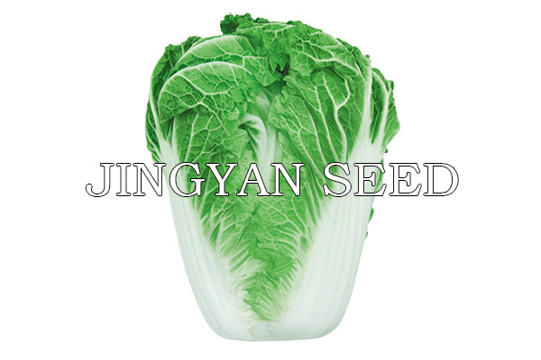 Beijing autumn 14-19