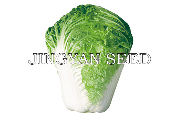 Beijing Xiaoza No.61