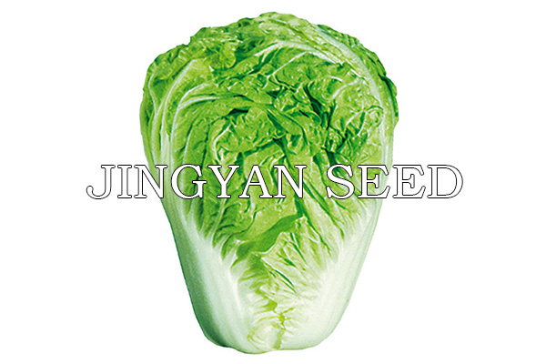 Beijing Xiaoza No.60