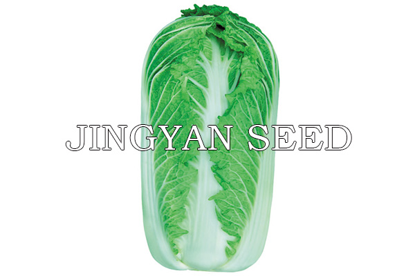 Beijing autumn No.61