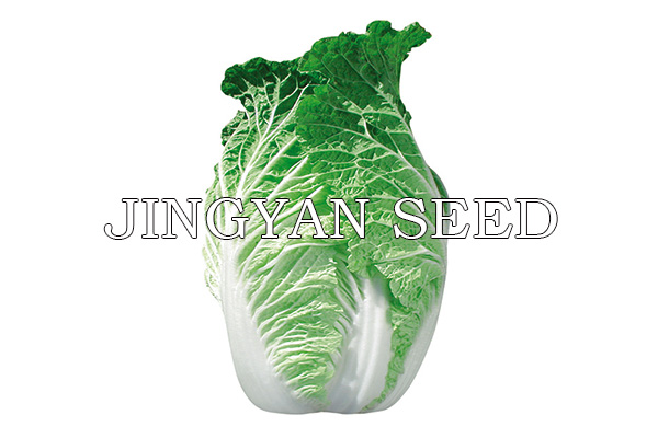 Beijing autumn No.75