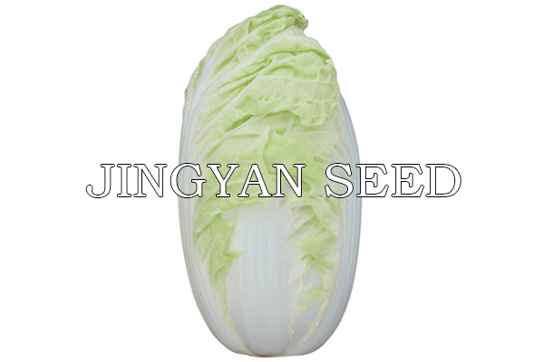 New Beijing Summer No.4