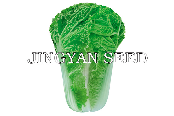 Beijing autumn 15-11