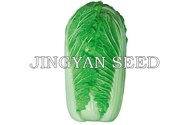 CR Beijing autumn New No.3